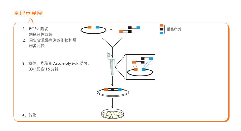 全式金产品再登《Science》杂志