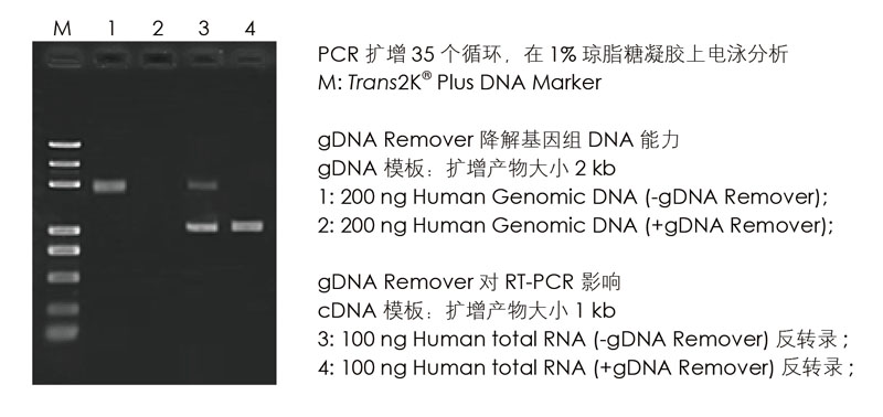 全式金产品再登《Nature》杂志