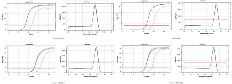 使用TransGen产品，以200 ng RNA、200 ng RNA+200 ng gDNA、200 ng gDNA为  模板进行反转录后定量扩增不同基因。结果表明，TransGen产品具有强的gDNA去除能力。