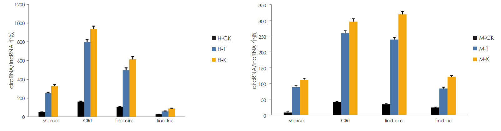 circRNA/lncRNA 分析