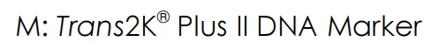 Trans2K®PLUS II DNA Marker