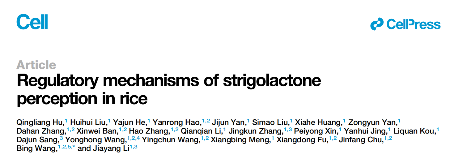 Regulatory mechanisms of strigolactone perception in rice.png